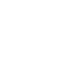 ce logo Johnston